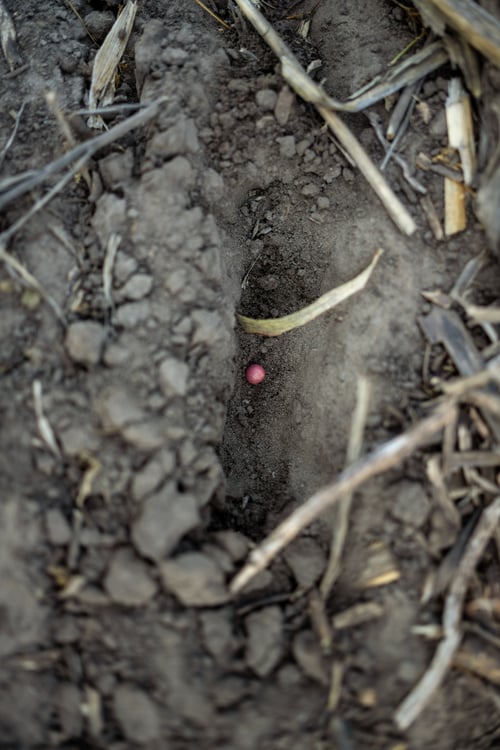 54523279362_fbc805b835_o