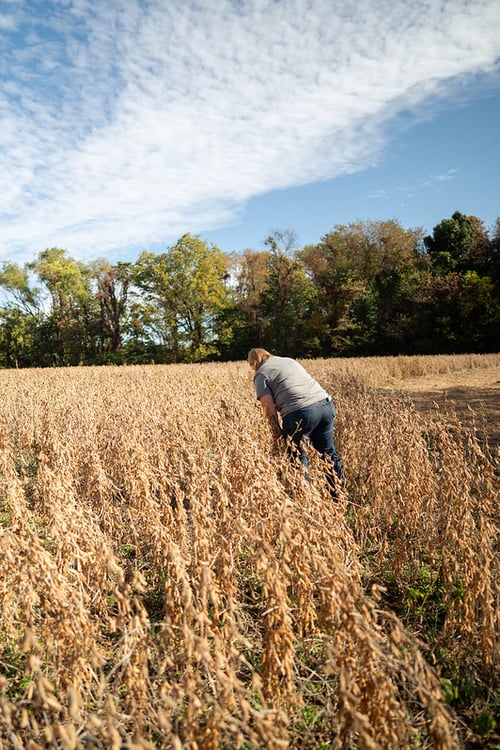 54859383981_8b74c6660b_c