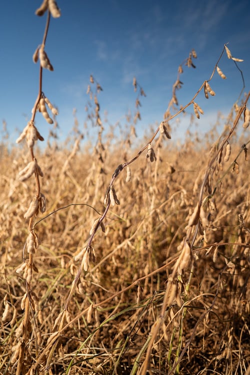 54875386301_4cab8cdc86_c