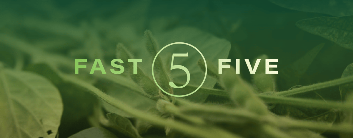 Header-Sep-16-2025-07-51-08-5275-PM